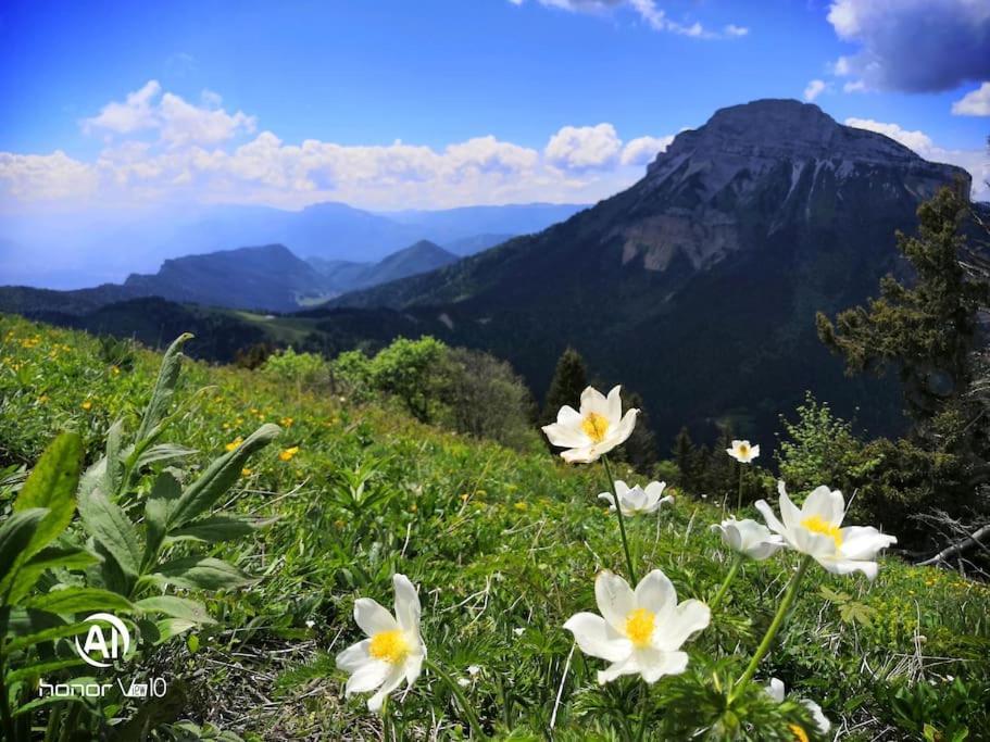 הוילה Theys La Tour En Belledonne מראה חיצוני תמונה